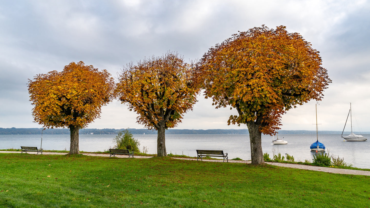 Starnberger See Landschaftsfotografie Workshop mit Siegfried Eichhorn