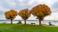 Starnberger See Landschaftsfotografie Workshop mit Siegfried Eichhorn