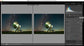 Lightroom Classic - Der Workshop für Anfänger
