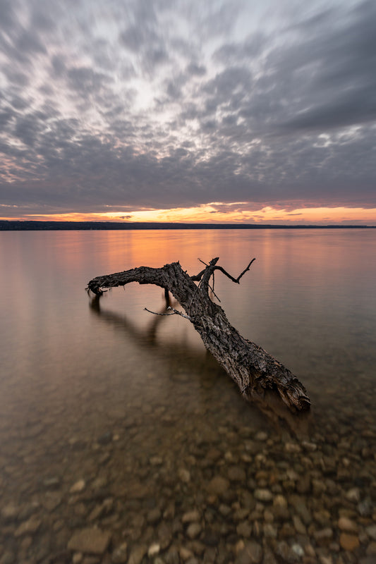 2 Tage Ammersee Landschafts Fotografie Intensivkurs